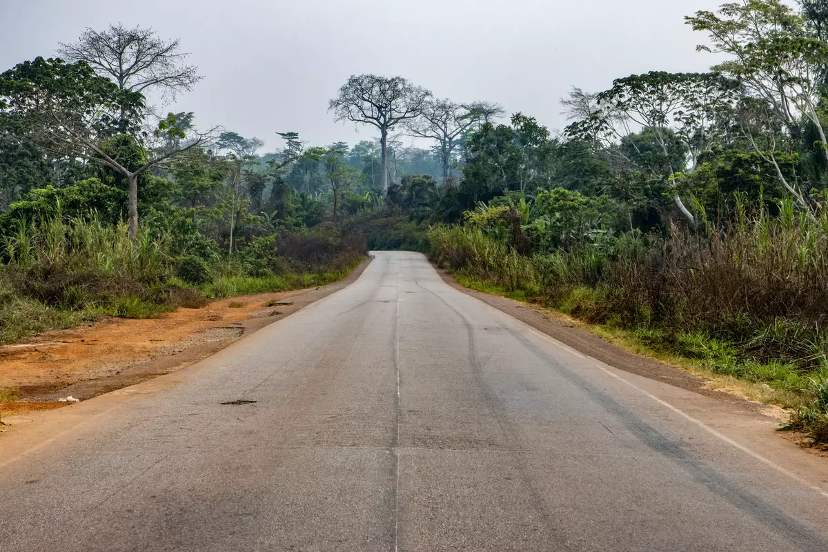 Road in Cameroon