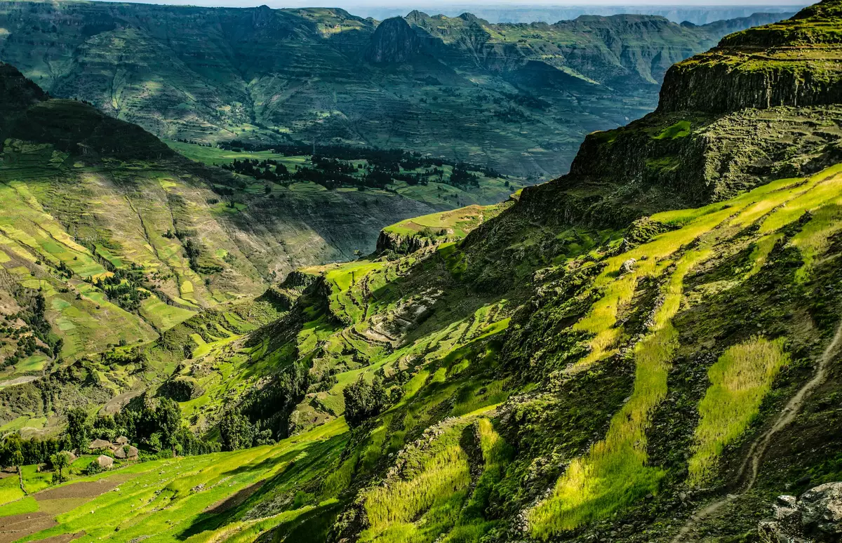 Ethiopian highlands