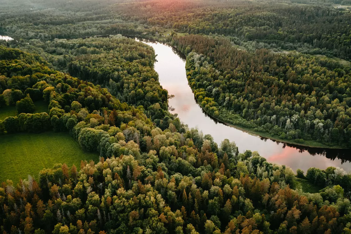 River and woods