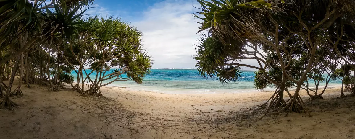 Beach in Vanuatu
