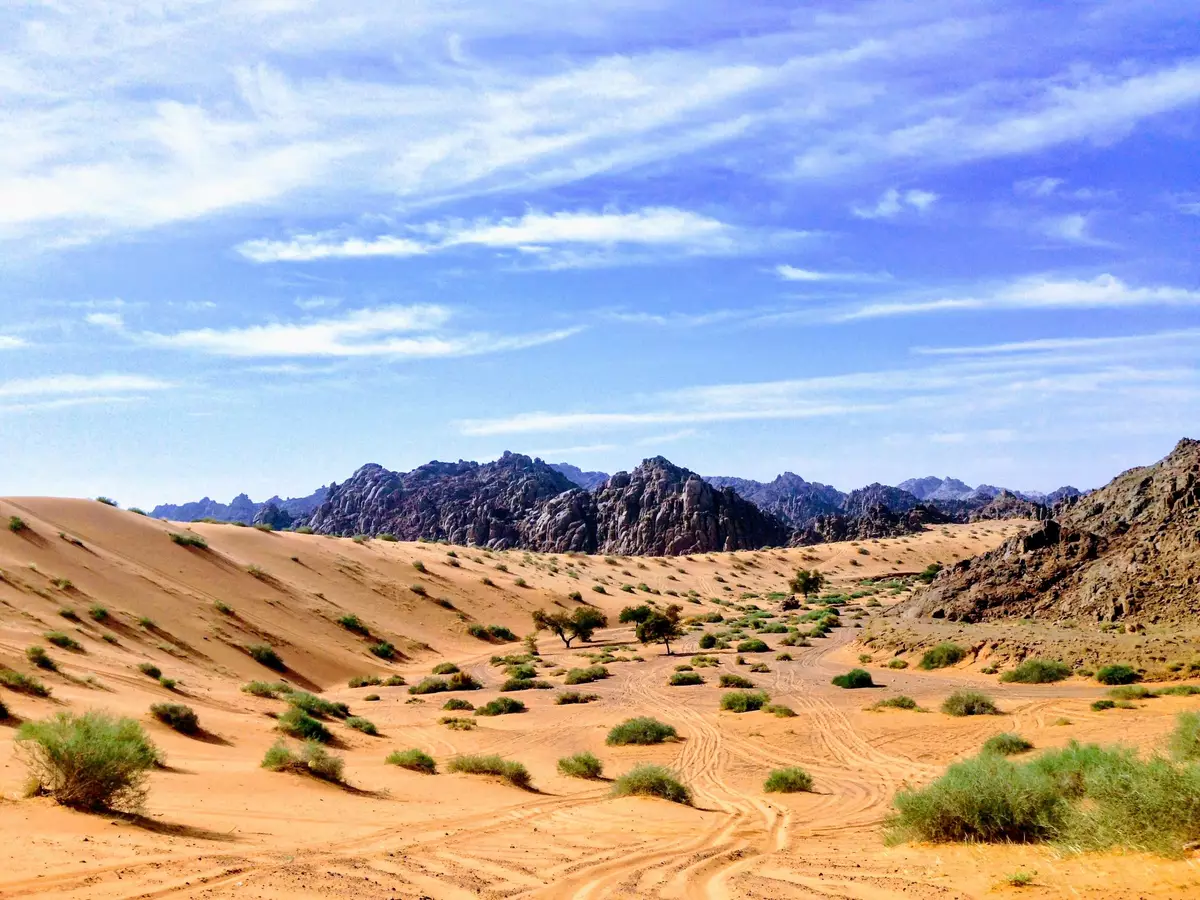 Al Nefud desert